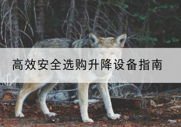 左云升降货梯厂家推荐-*安全选购升降设备指南