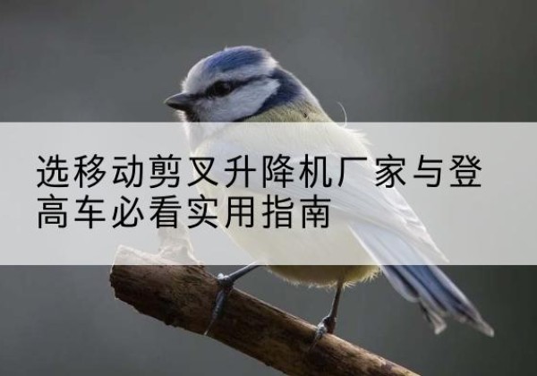 左云电动升降机厂家-选移动剪叉升降机厂家与登高车必看实用指南